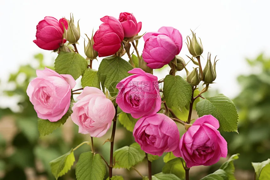 

RC car Metal upgrade spare parts, girder, gearbox base set Fit for MN 1/12 TK300 MN300 remote control car accessories