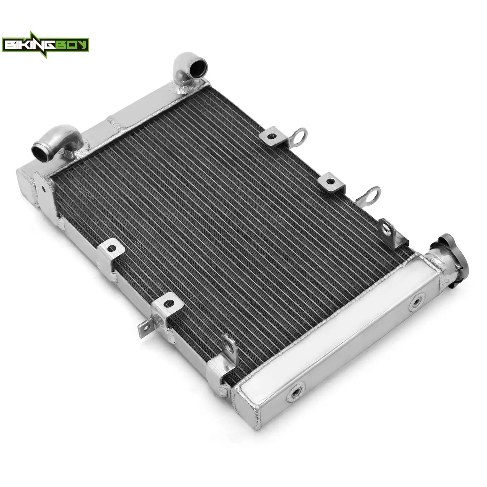 BIKINGBOY For Triumph Trident 660 2020 2021 2022 Engine Cooling Radiator Water Cooler Aluminium Alloy Core Polished