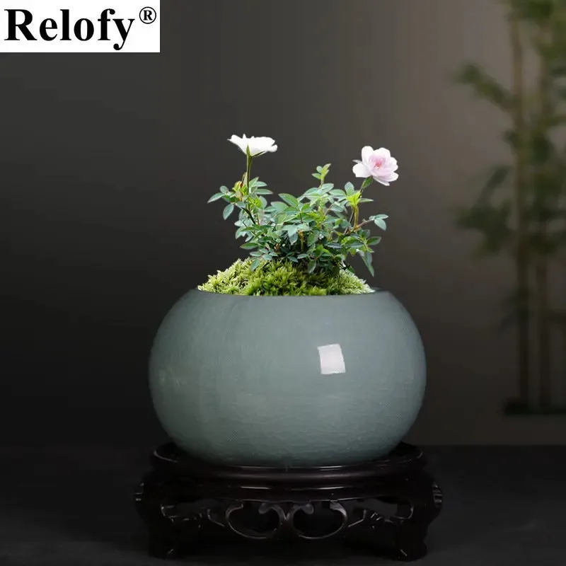 Household Creative Ceramic Potted Plant Flowerpot Flower Bodhi Green Plants Growers, Family Living Room Table Decoration, Crafts