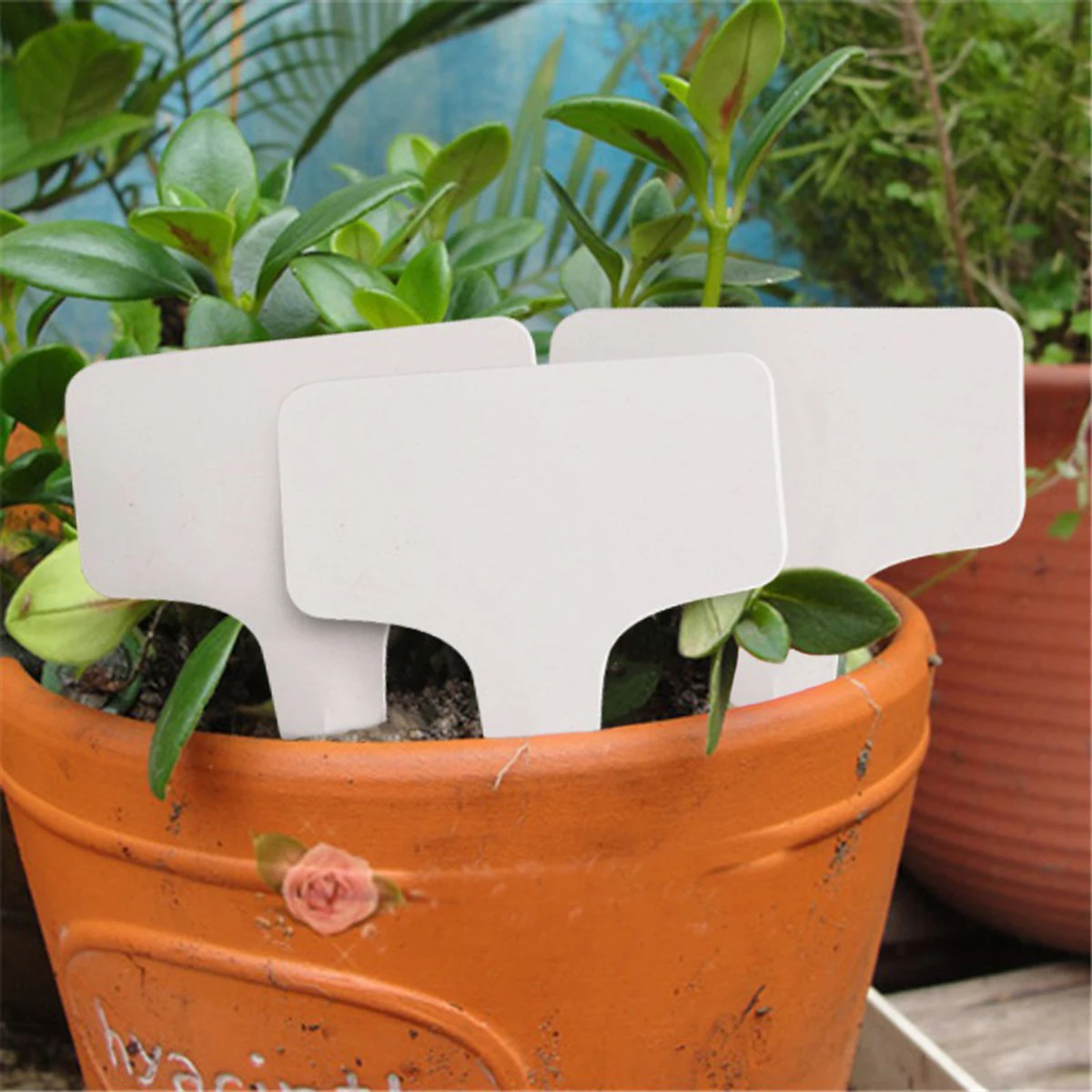 100Pcs T-Type Plant Label Markers Waterproof PVC Garden Plants Classification Sorting Sign Tags Plant Nursery Markers Label