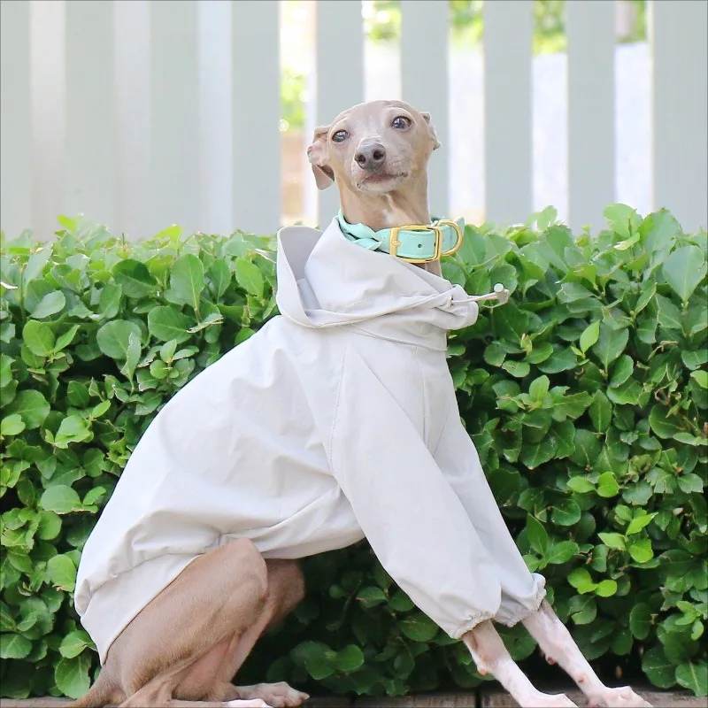 Pet Raincoat Italian Greyhound Adjustable Waterproof Jacket Large Dog Hooded Covering Belly Foreleg Coats Huibit Leisure Clothes