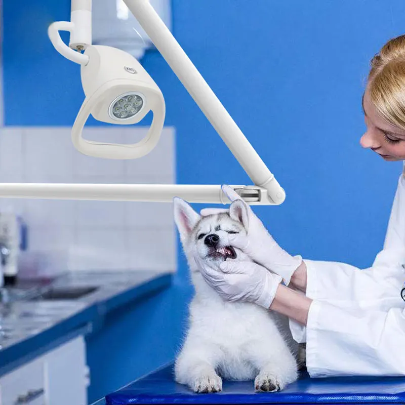 21W Wall-mounted Medical Dental Examination light LED Lamp High Brightness