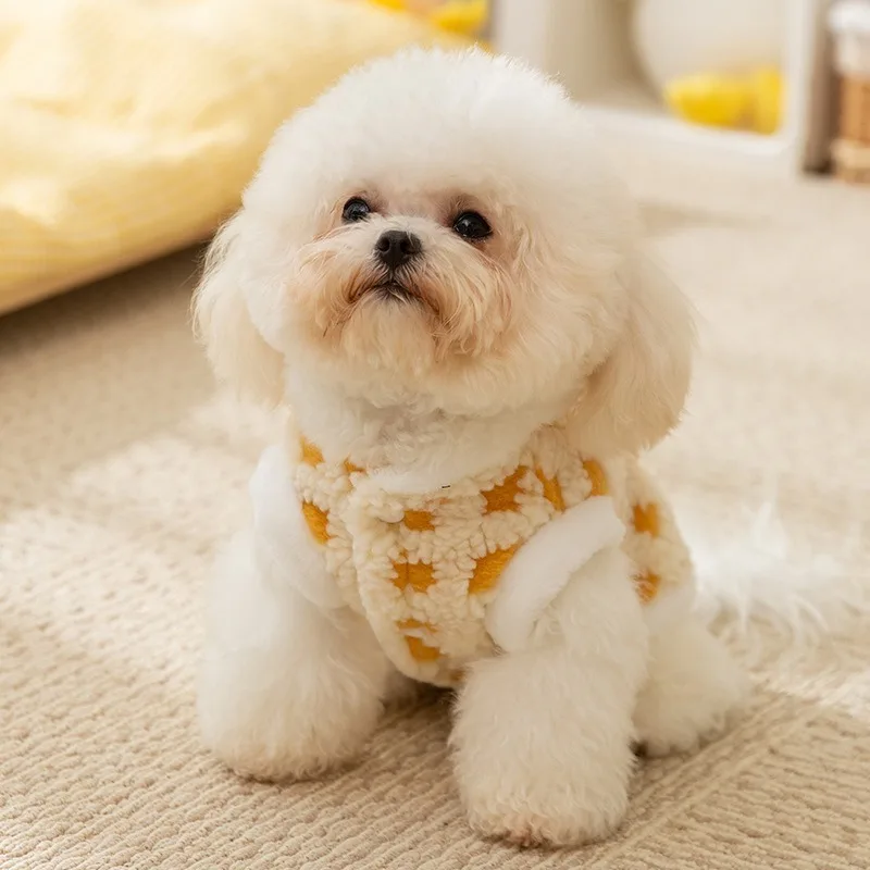 Cartoon Time Alarm Clock Dog Two Legs Fleece Coat Autumn and Winter Small Dog Warm Coat Dog Cardigan New Pet Clothes