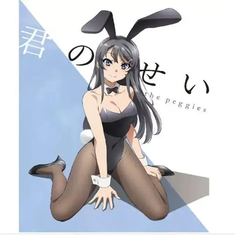 BD Blu-ray Japanese Animation Rascal Does Not Dream of Bunny Girl Senpai 4-Disc Box Set