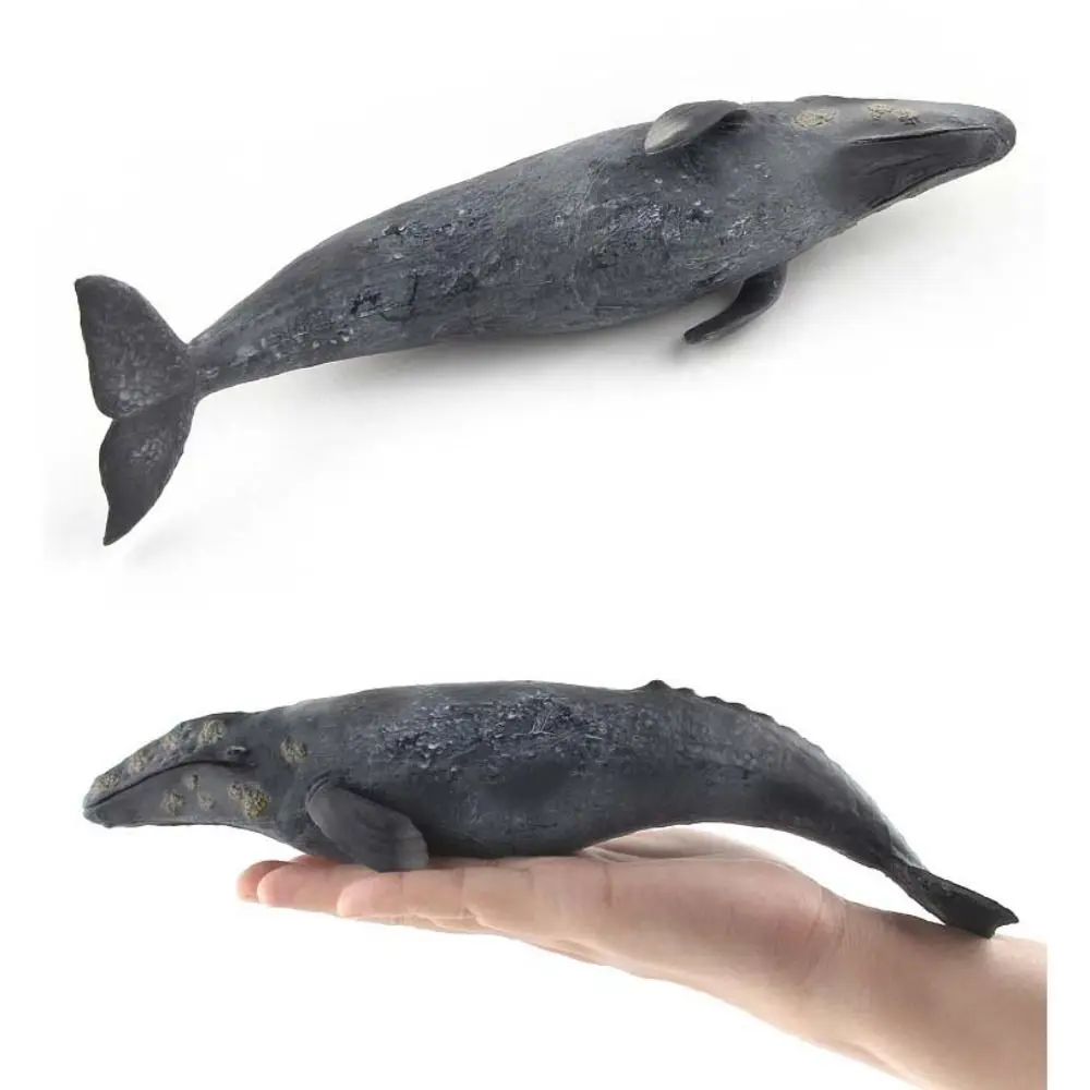 シミュレーション海洋動物モデル 海洋生物 水中生物 クジラのフィギュア 教育用 ソリッドPVC 海洋生物フィギュア