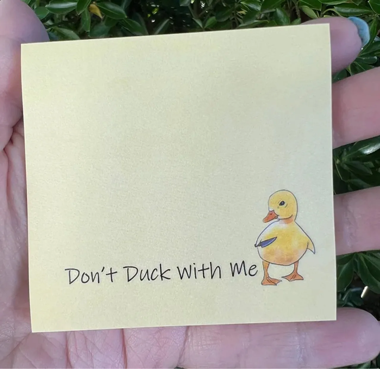 Funny Sassy Duck Sticky Notes Duck Sticky Notes Creative Gift Decoration