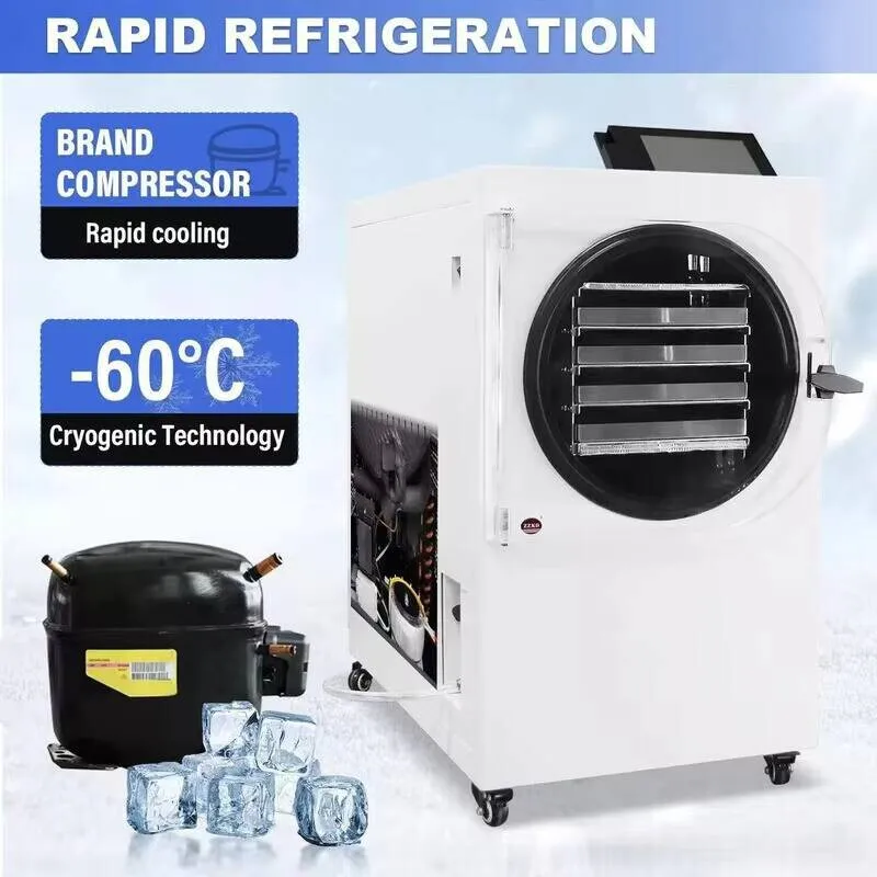 New Freeze Dryer Vacuum Freeze Fruit Vegetable Household Intelligent Small Laboratory Food Dryer