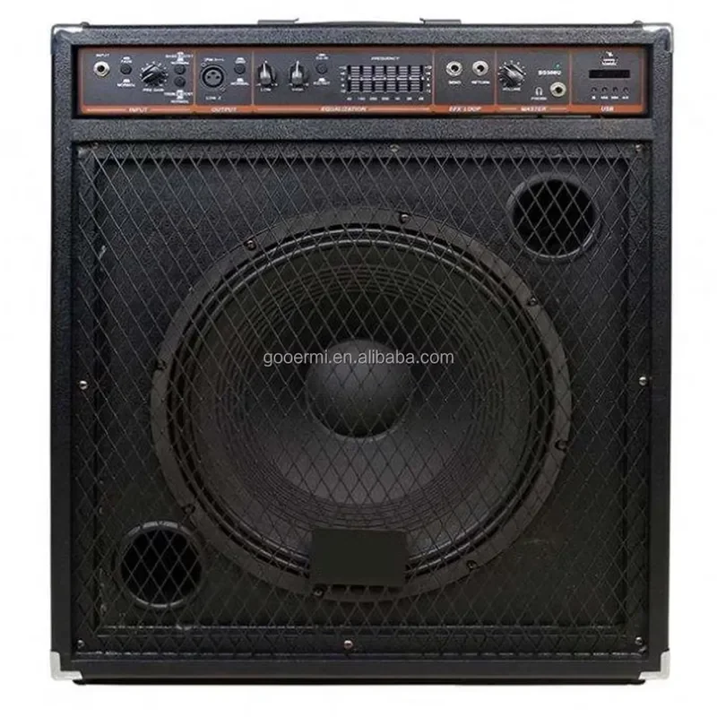 Professional Bass Combo Amplifier with 15 Inch Speaker