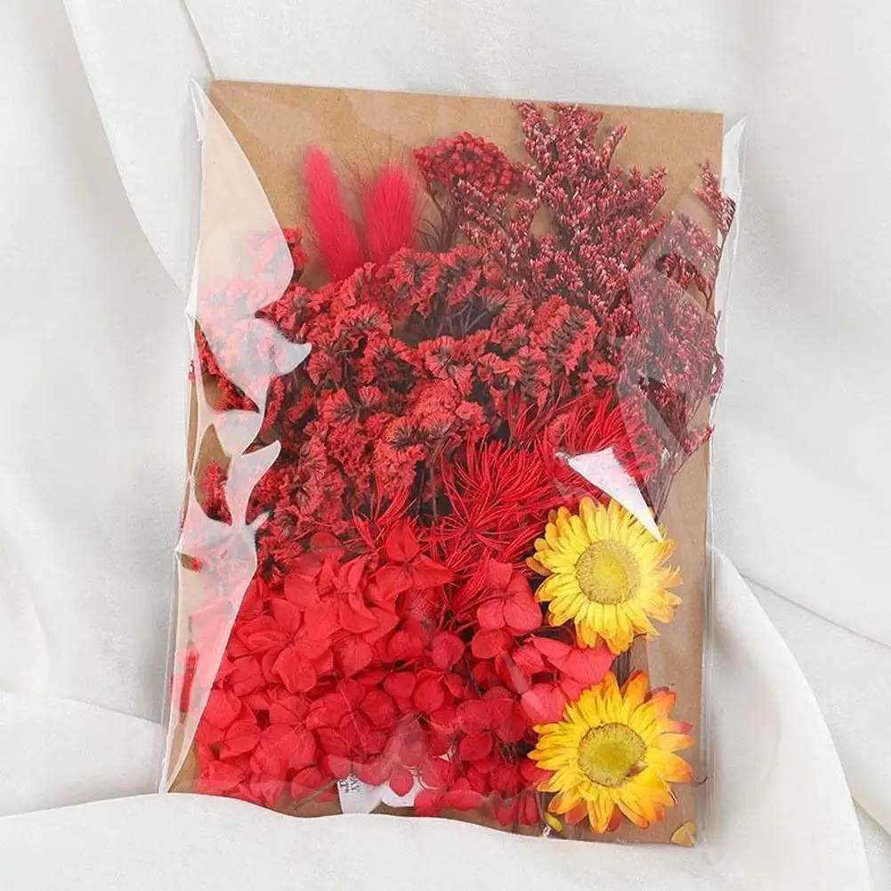 1Set Natural Plants…