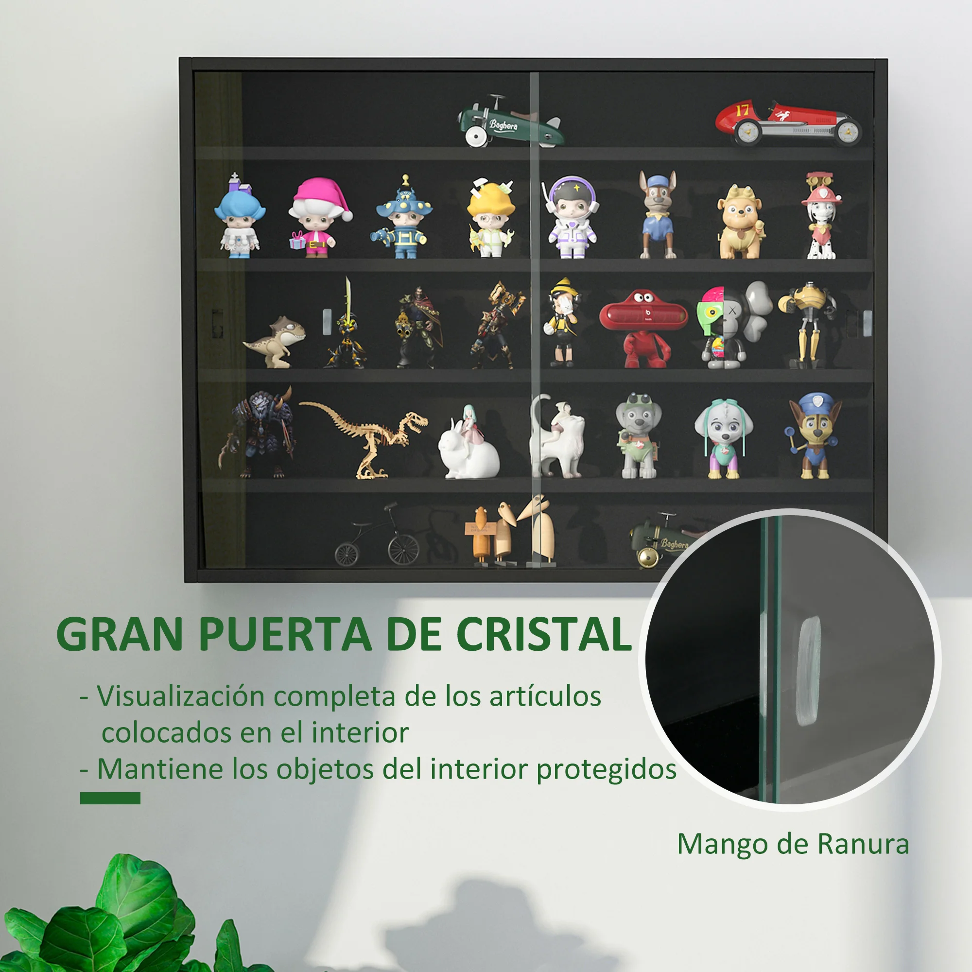 Imagen 5