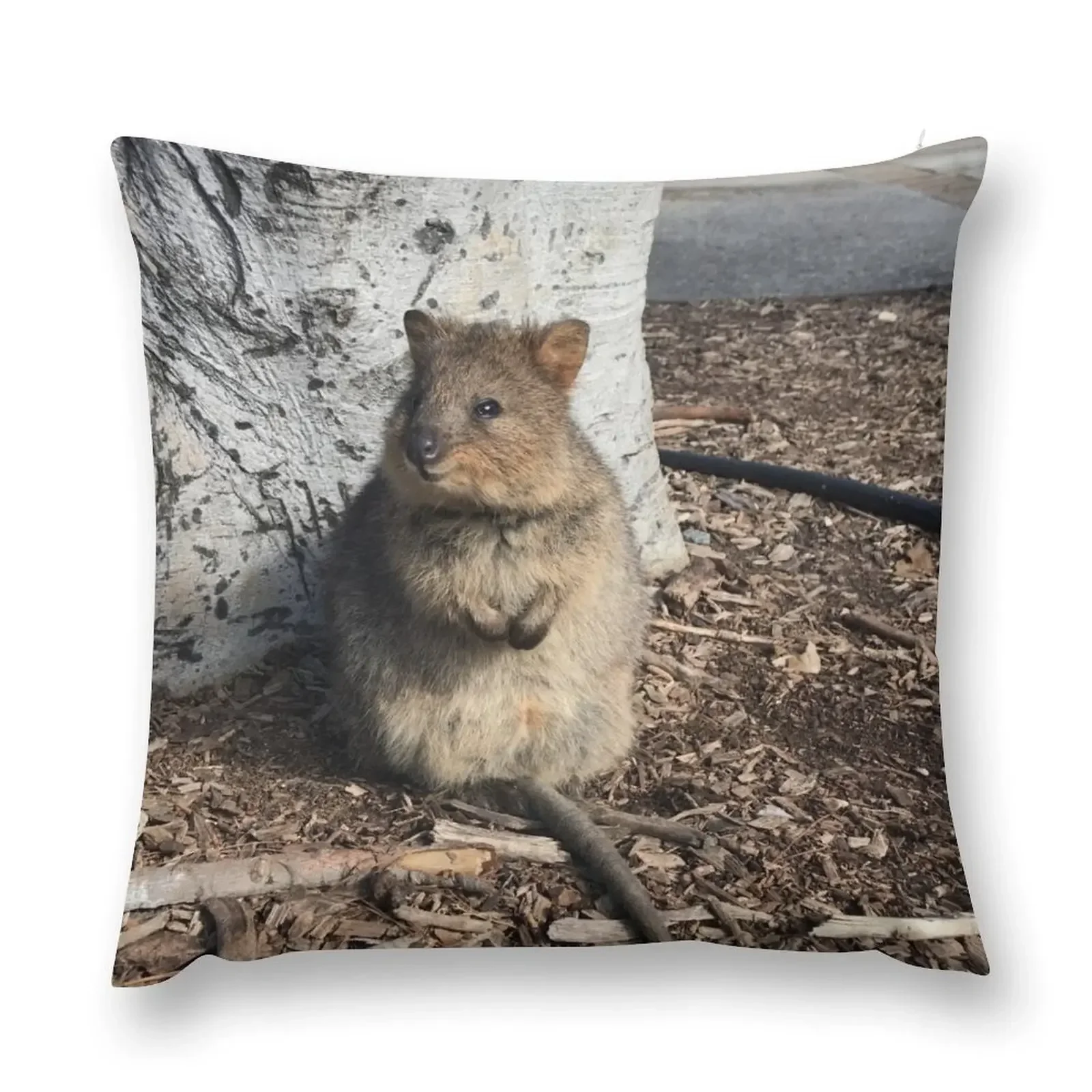 

Quokka Throw Pillow Sofa Decorative Covers Pillowcases pillow