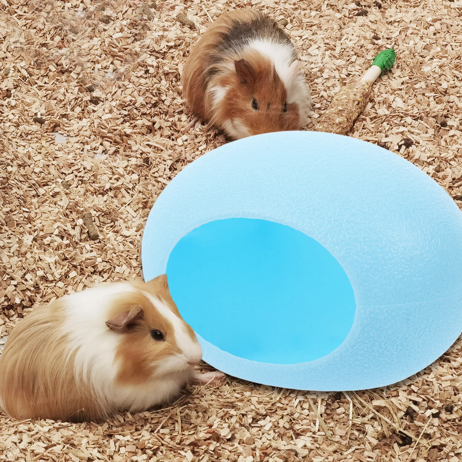 

Cartoon Anti Sleeping Room Cute Hamster House Plastic Pet Habitat Small Animal Hideout Guinea Pig Cave Comfortable Nesting Area