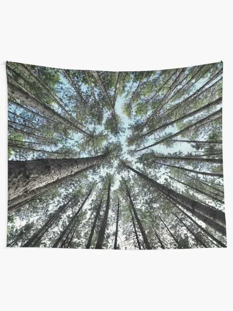 Tree tops of pine forest art photo print Tapestry Decoration For Home Aesthetic Room Decorations Tapestry