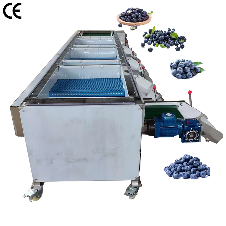 Industrial electronic blueberry sorting grading size sorting machine price
