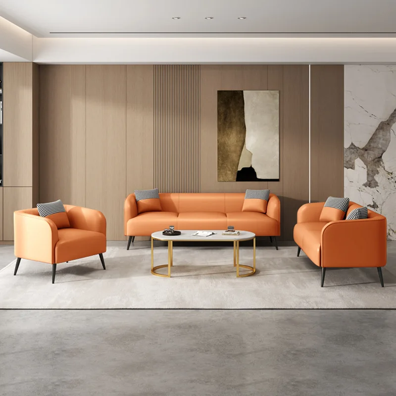 

Cat scratching sofa, small apartment, living room, simple rental room, clothing store apartment