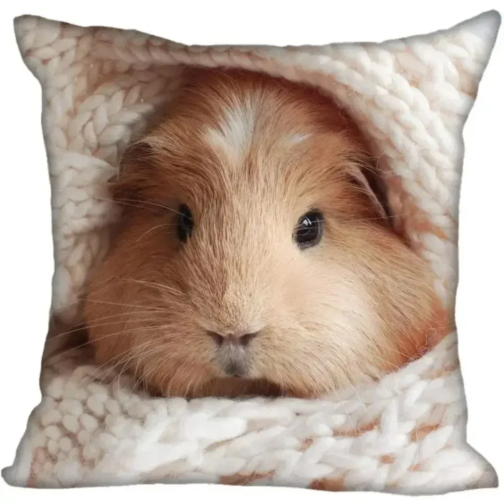 Living Room Pillowcase Guinea Pig   Modern Home