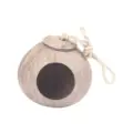 Nest