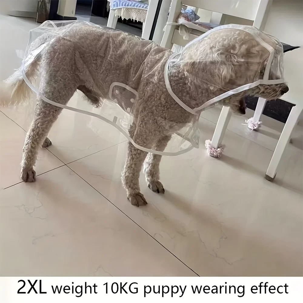 معطف واق من المطر شفاف مقاوم للماء للكلاب الصغيرة والمتوسطة تيدي بيشون فريز يوم ممطر المشي سترة المطر للحيوانات الأليفة