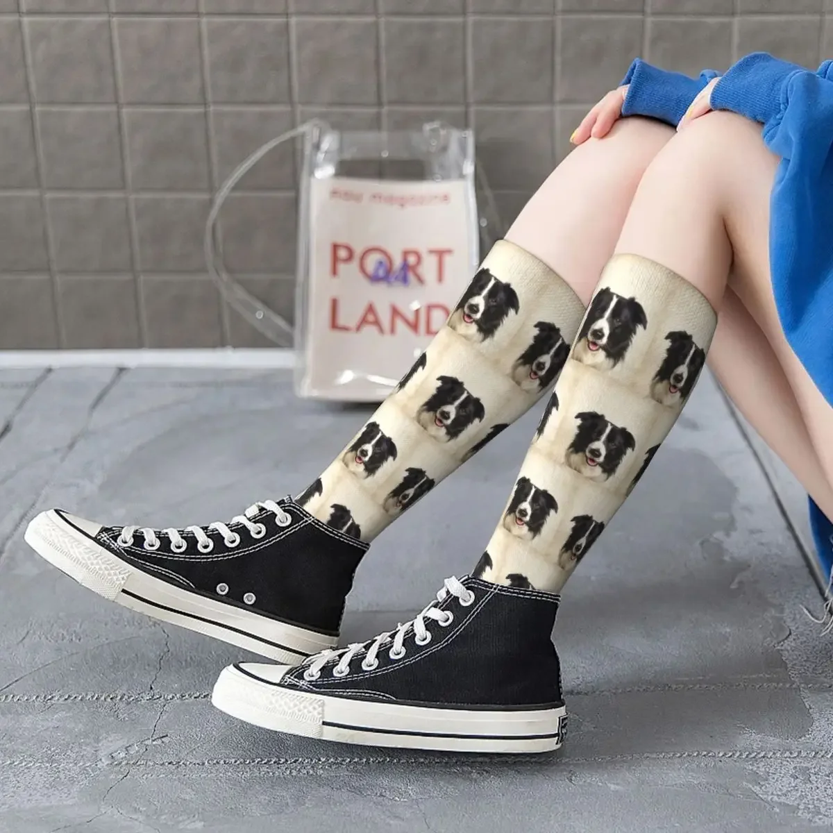 Border Collie Art,Domestic Dog, Animal Portrait Socks Harajuku Stockings All Season Long Socks for Man's Woman's Birthday Gifts