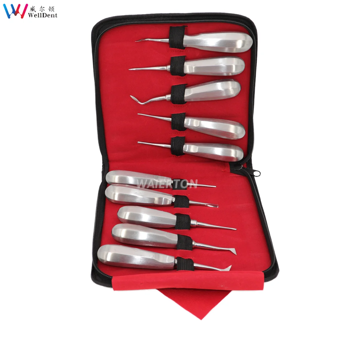 10-pz-set-dentale-ortodontico-ascensore-testa-in-acciaio-inox-strumento-curvo-dritto-curvo-radice-sollevatore-strumenti-di-laboratorio-dentale