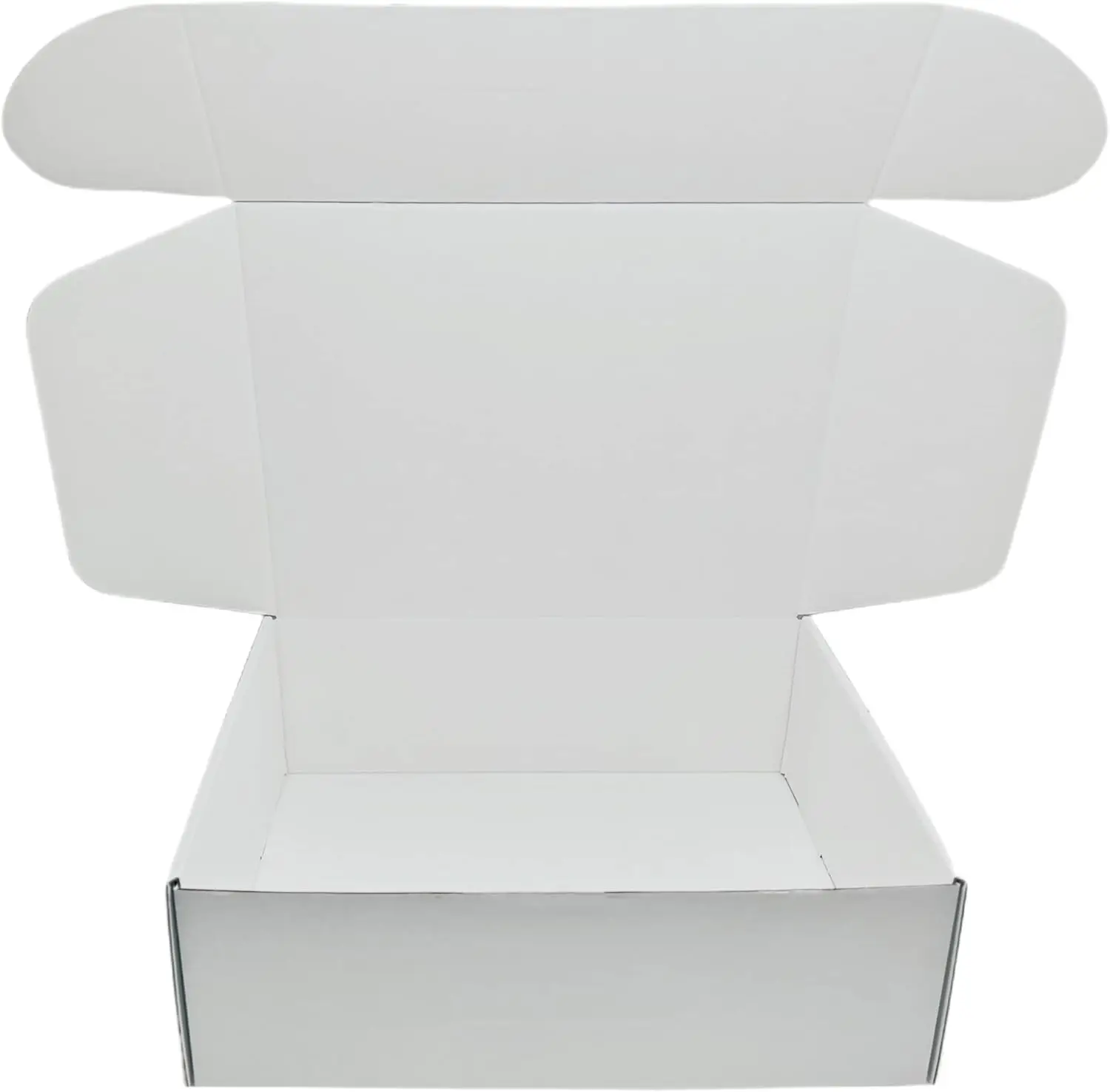 

Small Corrugated Mailer Boxes 12x9x4 Inches Cardboard Storage Box for Mailing Shipping Packing (White, Pack of 5)