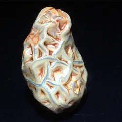Natural Gobi Desert Stones Boutique colorful Mongolian Veined Stone Beads Alxa Agate Jewelry Accessories jewelry material