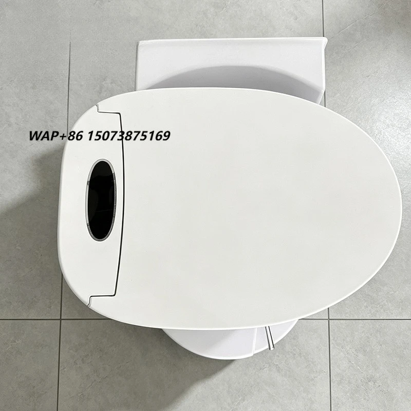 Waterless Smart Toilet Eco-friendly Intelligent Bidet Commode with Heated Seat & Auto Lid Promo Price for Sale