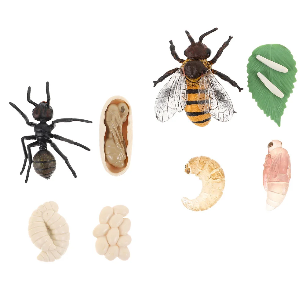 

Animal Growth Cycle Simulation Bee and Ant Decor Plastic Toys Kids Educational Plaything Life Figurines Models Artificial