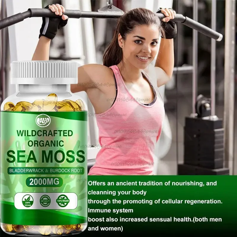 

Irish Seaweed Capsules 60 capsules containing organic seaweed, wild bladder burdock root, immune support, digestive health