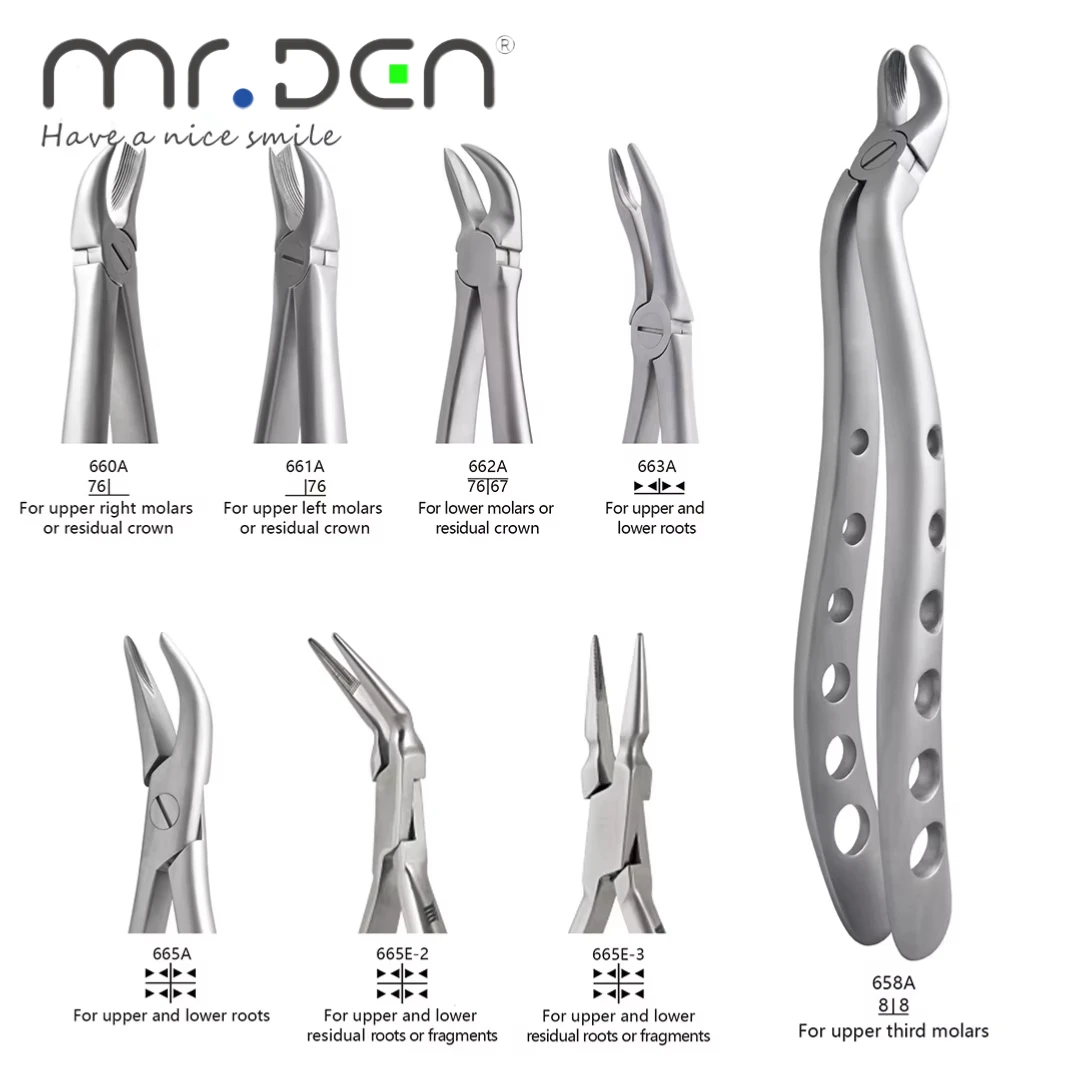MR DEN ملقط استخلاص الأسنان عالي الجودة للبالغين كماشة أسنان بمقبض متعدد الفتحات لقواطع علوية وسفلية أضراس Bicuspids