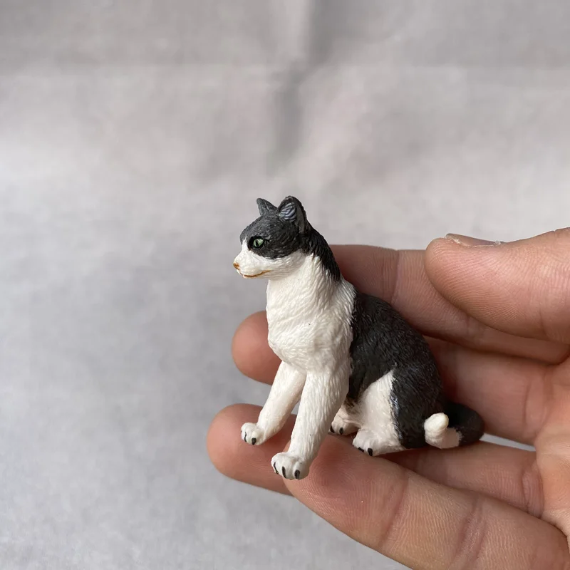 Bandai-Figurines d'action pour animaux de compagnie japonais, jouets de simulation de ferme, chaton orange, chaton noir et blanc, modèle à l'échelle véritable, quelque part