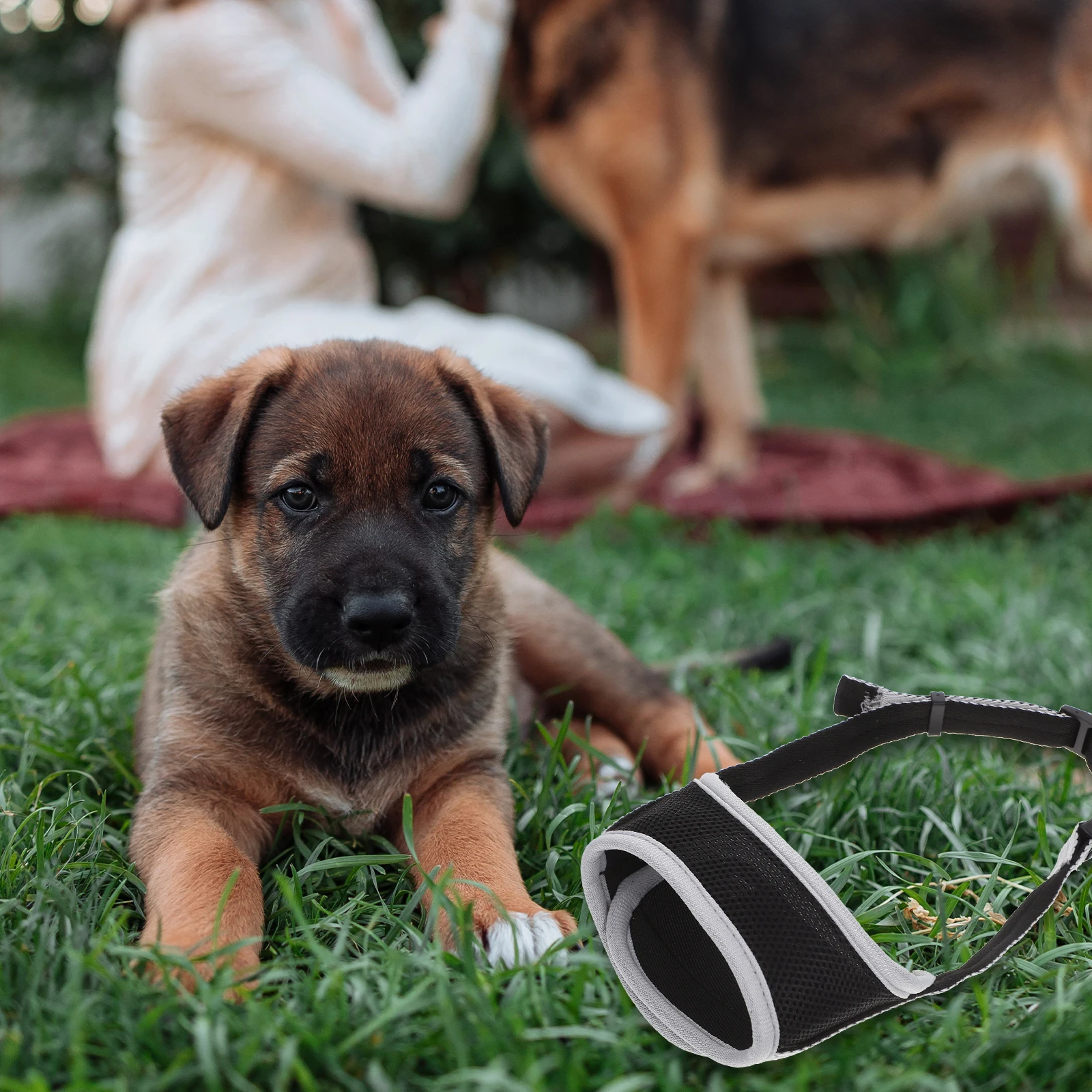 

Anti bite Dog Muzzle Mesh Breathable Barking Mask for Puppy Mouth Cover Wear resistant Adjustable Pet Supplies Dog Collar Leash