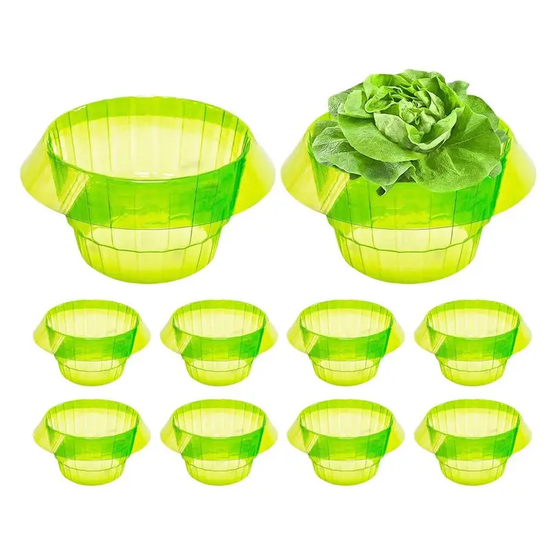 

10pcs Plant Protection Cloches Vegetables Plant Snail Collar Durable Slug Protection Garden Protects Animal Tool for garden