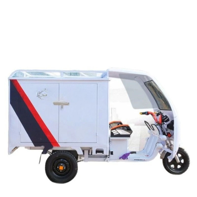 Electric Express Tr…