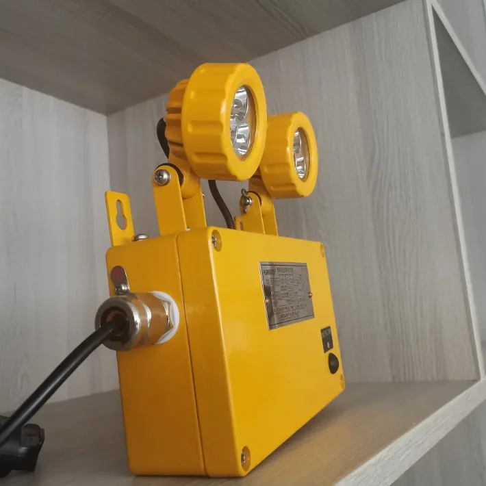 6W LED Explosion-Proof Emergency Light For Oil Mining Smelting And Ships Fire Emergency 3H Time IP66