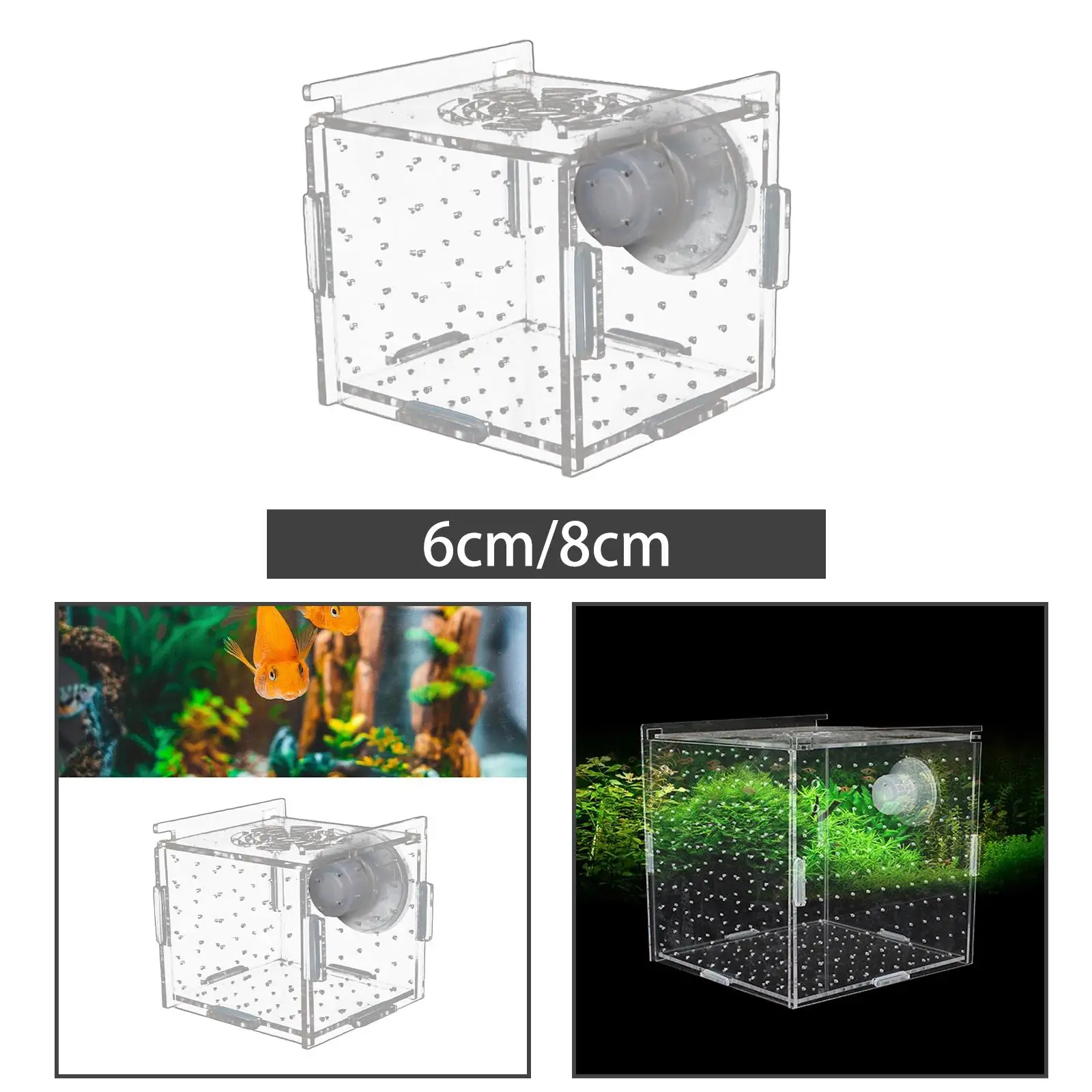 Fish Breeder Box Clear Durable Aquarium Supply Fish Isolation Breeding Box for Aggressive Fish Clownfish Guppy Baby Prawn Shrimp