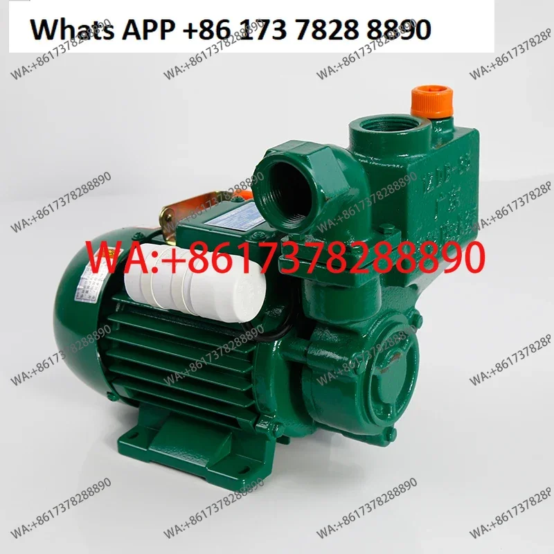Water pump household 220v Guangdong household booster pump, high lift water pump self-priming pump horizontal centrifugal view 3