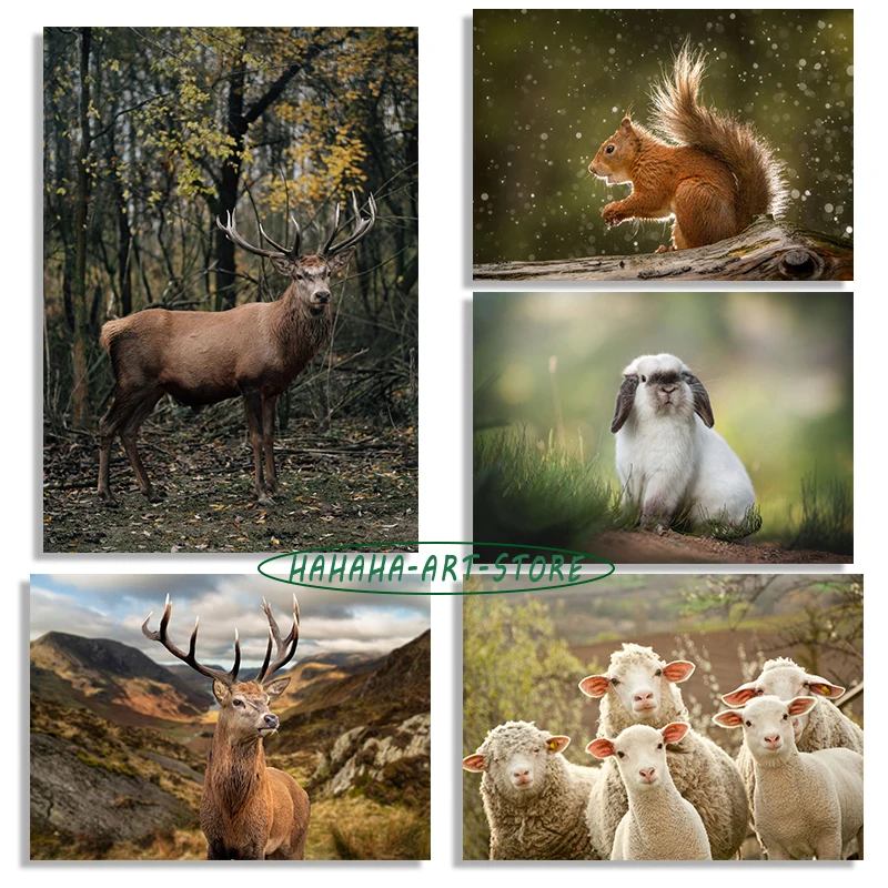 Wildlife Photography Animals Deer Fox Poster Canvas Printing Wild Animals Wall Decor Home Room Animal Deer Wall Aesthetic Decor