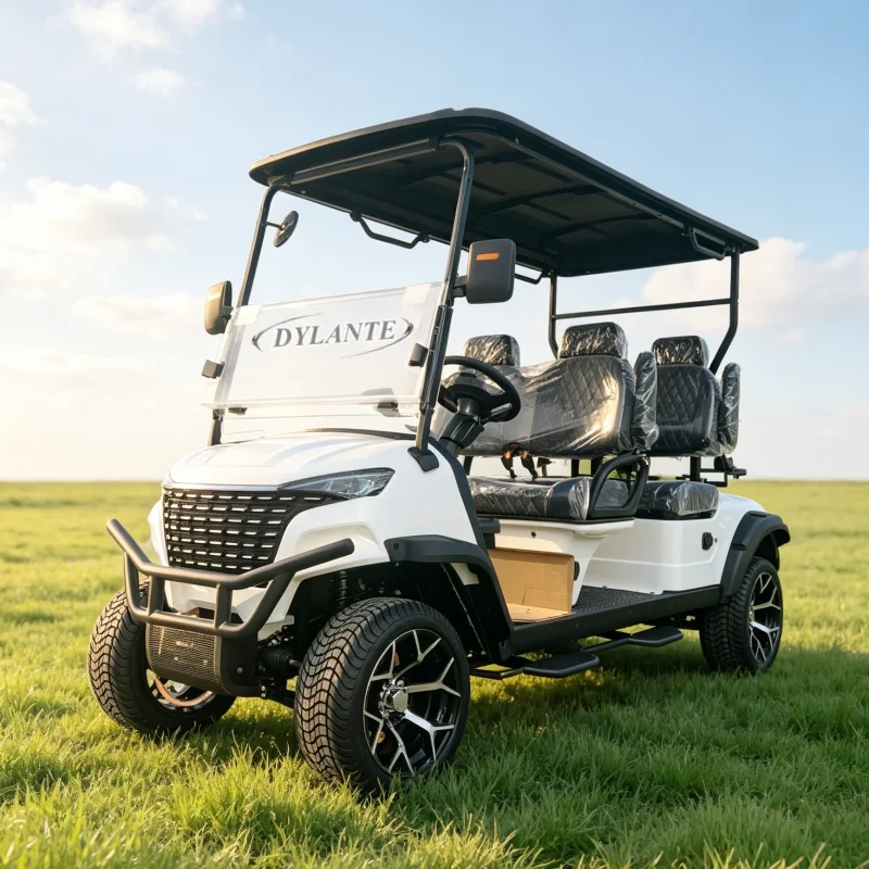 Sightseeing Cart 4 6 Seater Electric Vehicle 72V Lithium Battery AC Motor Off Road Tyres Shock Absorber Canopy Golf Course