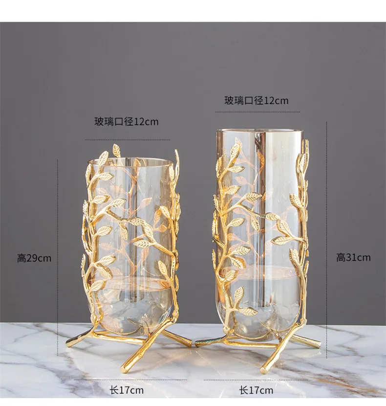 Imagem -06 - Vidro Metal Vaso para Arranjo de Flores Oco Frame de Ouro Ramos Rattan Transparente Hidroponia Decoração de Casa