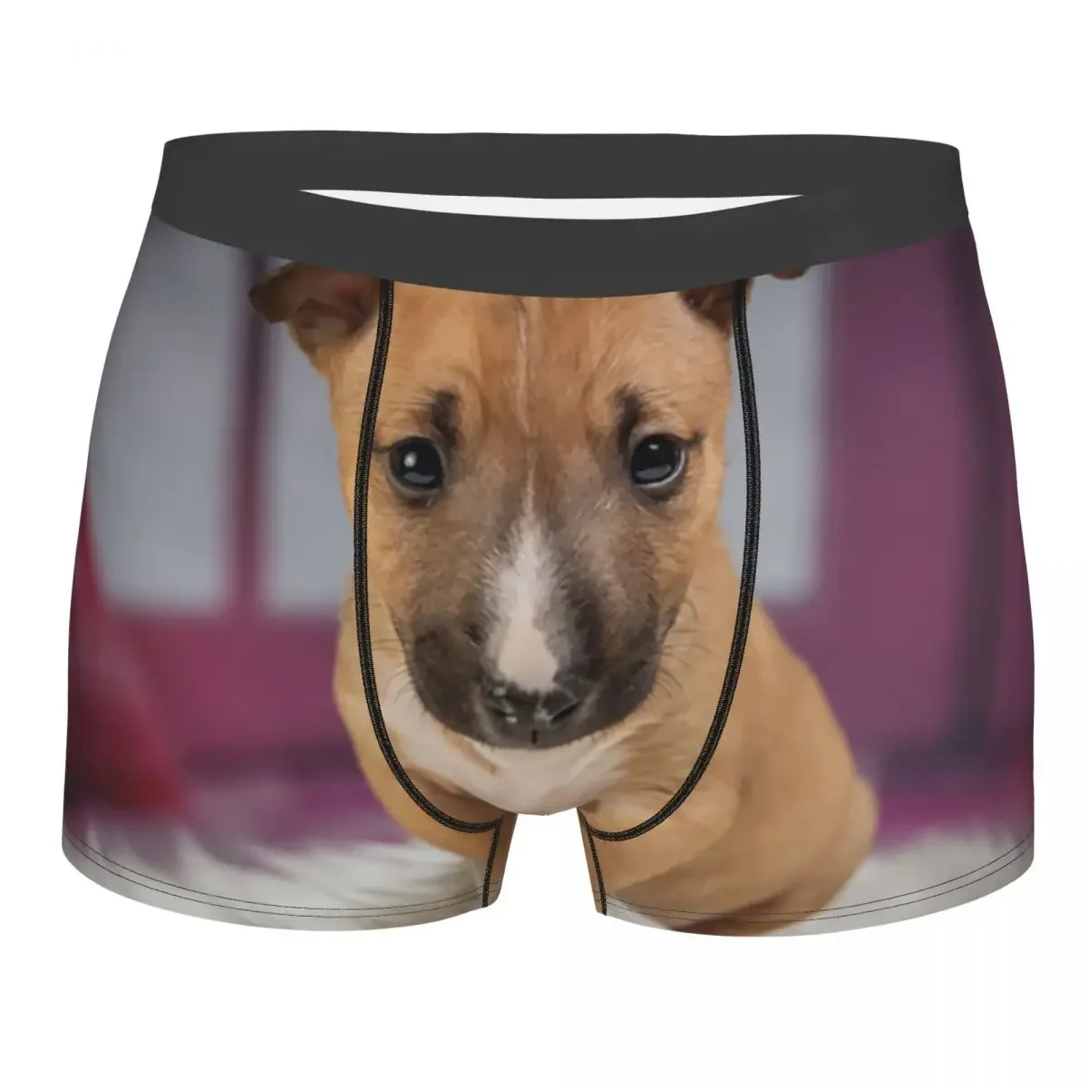 Bull Terrier Animal Pet Puppy Boxer Shorts Men 3D Printed Male Breathbale Underwear Panties Briefs