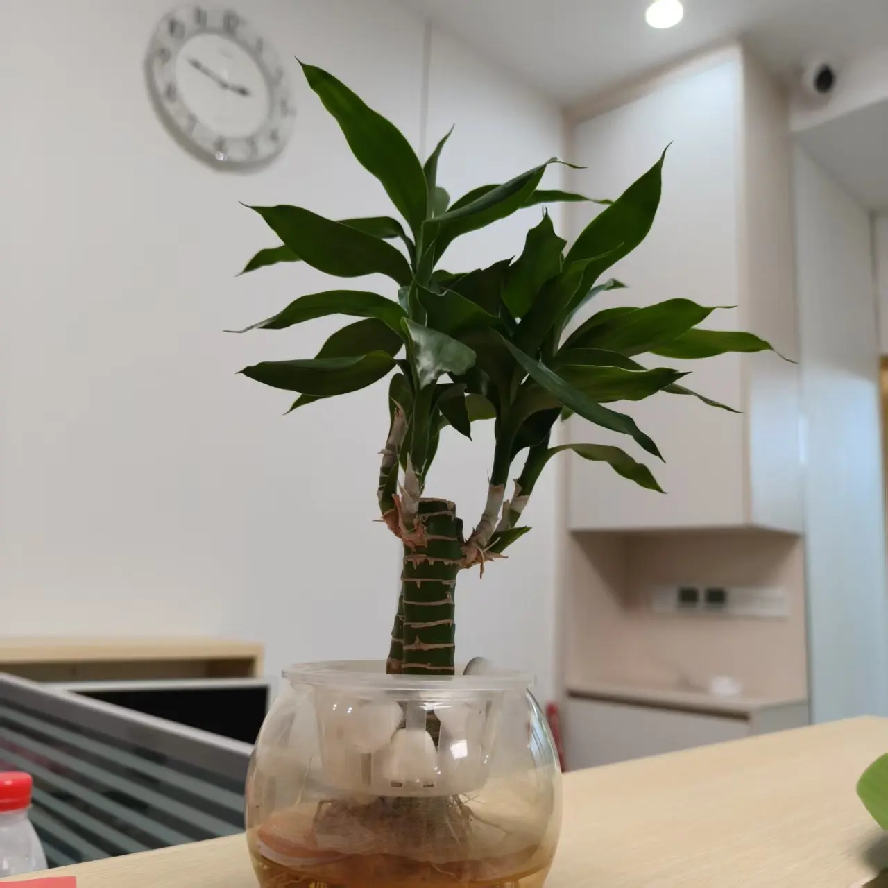 

1.596CT 3CT F Color VS Clarity 3EX Cutting round CVD Diamond Lab Grown White Loose Stone GEMID Certified