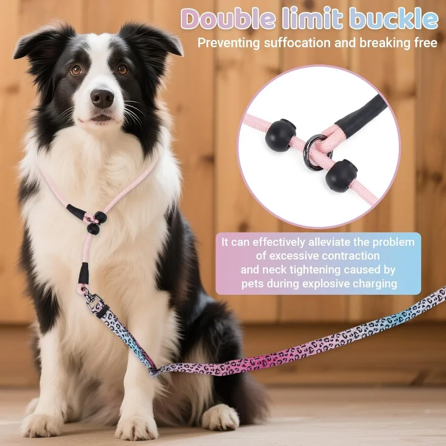 이중 손잡이가 있는 슬립 리드 개 목줄, 노풀 반사 훈련용 목줄, 매듭 없는 회전식 헤비듀티 디자인, 소형 및 중형견용
