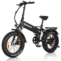 VARUN S20-1 Electric Bicycle 250W Motor 48V13AH Lithium Battery Adult City Electric Bike 20-inch Fat Tire Mountain Riding E-bike