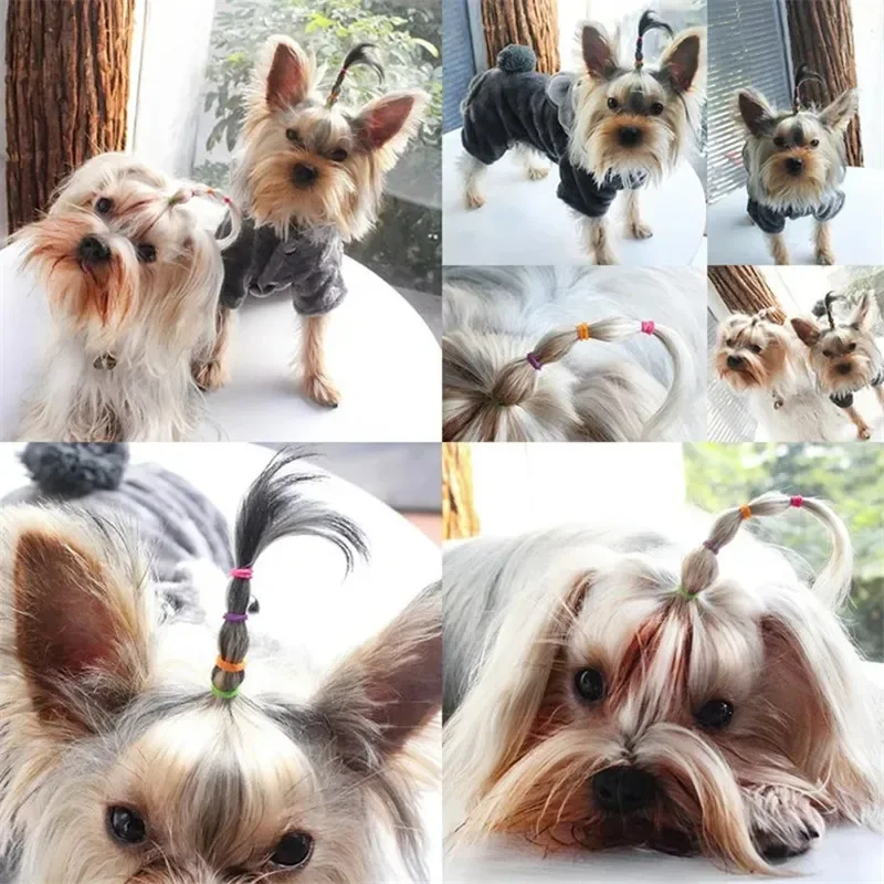 Lazos para el pelo de perros y gatos, bandas de goma amarillas de colores, lazos elásticos para el cuidado de perros, accesorios para cachorros,