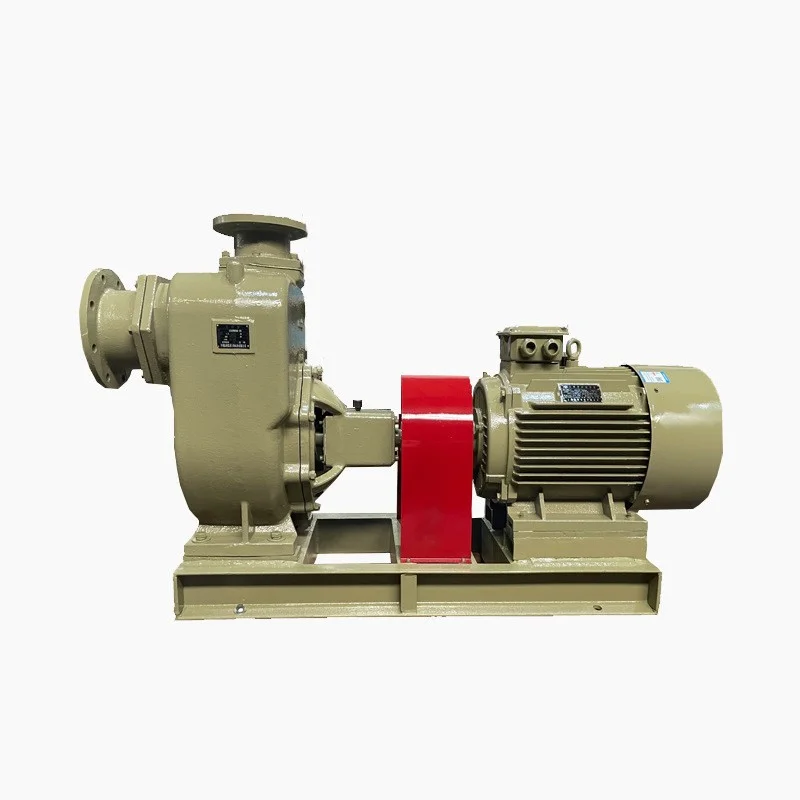 ZW Customizable 1 Inch Self-Priming Sewage Trash Pump with 5m Cable High Pressure Non-Clogging Sump Pumps for Clean Water OEM