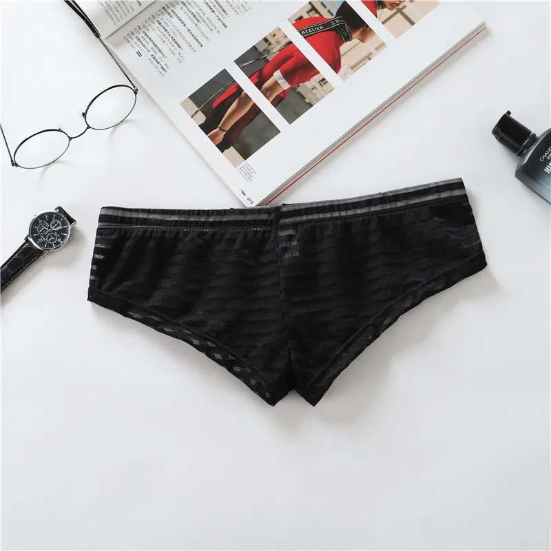 Men Erotic Bikini Boys Sexy Low Waisted Trunks Quick Dry Breathable Transparent Panties Ultra-thin Soft Rib Striped Boxer Shorts