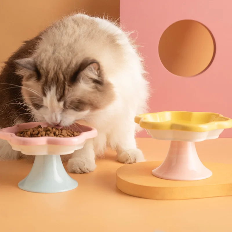 Thumbnail 4 - #88 Best Pet Bowl Stands to Buy In 2026