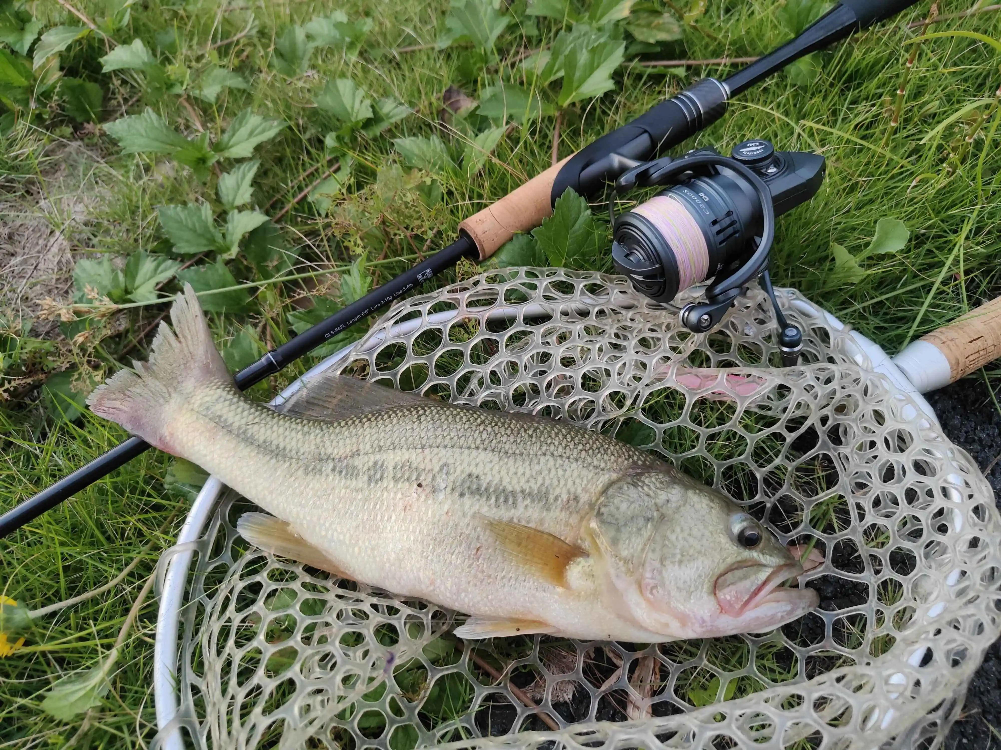 TSURINOYA Ultraleichte Spinnrolle FRERE C2000S 2500S 3000M Tintenfisch Forelle 155g Karbonkörper Flache Spule Vielseitig Einsetzbar – Detail 34