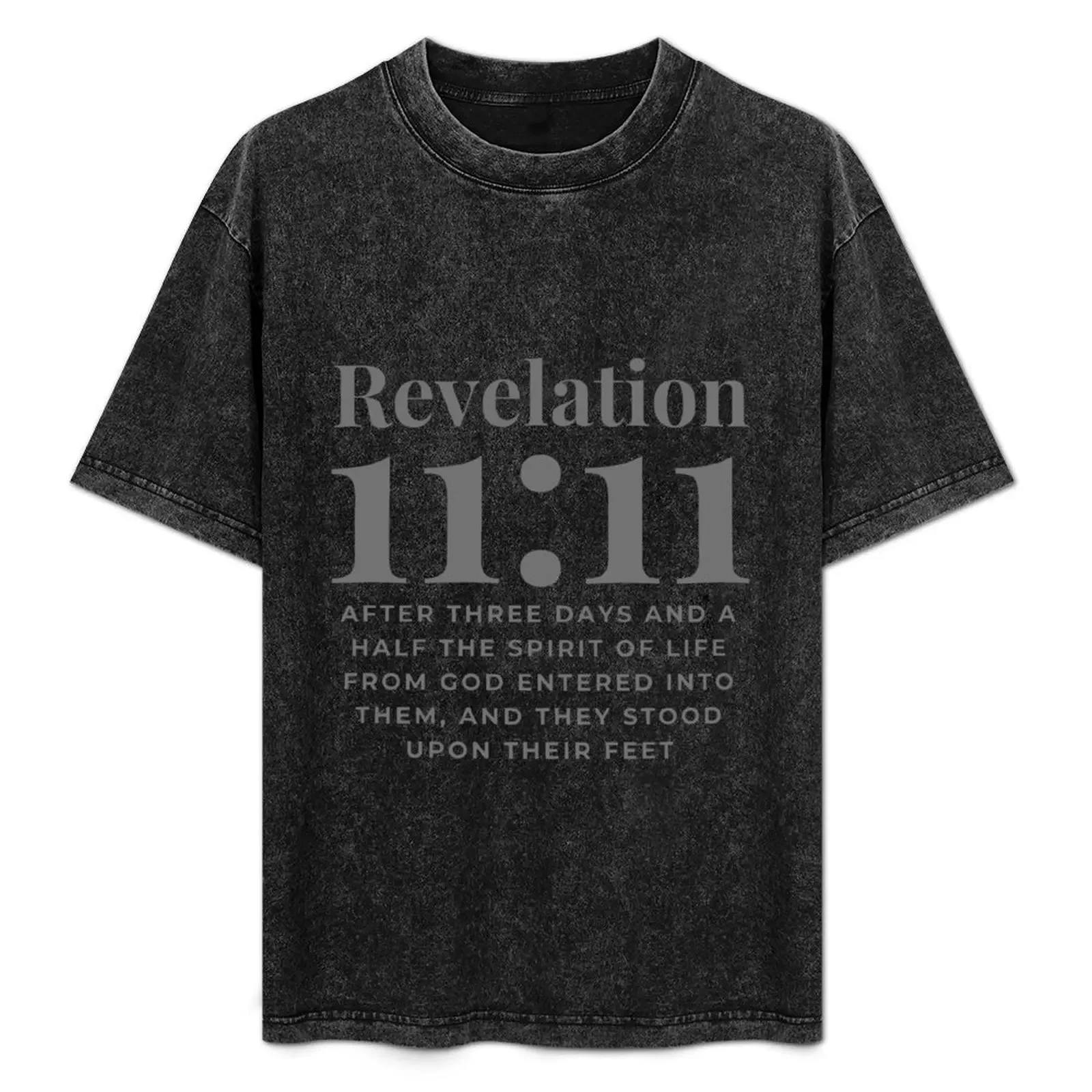 Revelation 11:11 After three days and a half the spirit of life from God entered into them, and they stood upon their fe T-Shirt